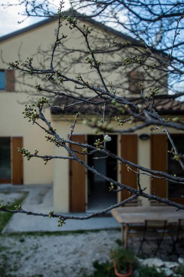 Agriturismo Conero Ancône Extérieur photo