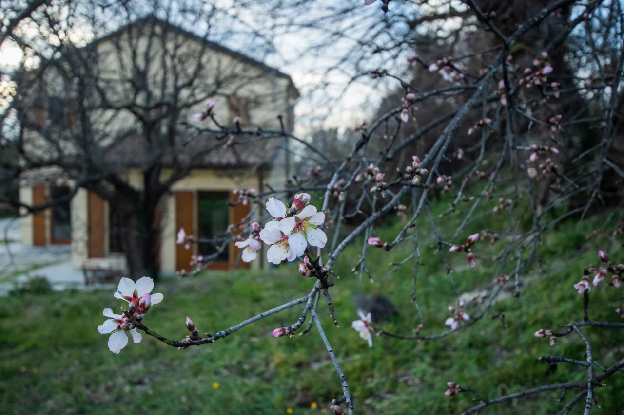 Agriturismo Conero Ancône Extérieur photo